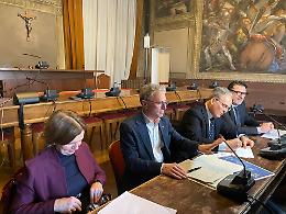 Belluno lancia la Rete Dafne per tutelare le vittime di violenza con un percorso condiviso tra istituzioni e terzo settore