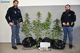 Inseguimento all'alba tra le strade di Longarone: alcol in corpo e droga nell'auto