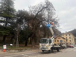 Marostica: prosegue il piano di manutenzione del verde comunale