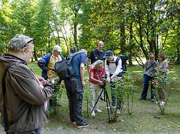 'Ideazioni': la fotografia come strumento di inclusione e riscoperta personale a Villorba