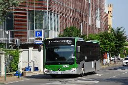 Lite sull&rsquo;autobus MOM a Treviso: ragazzo disabile finisce al pronto soccorso