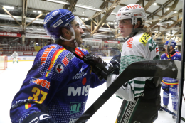 HC Migross Asiago chiude la Regular Season in trasferta a Dornbirn contro il Bregenzerwald