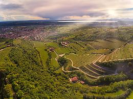 Valpolicella sempre pi&ugrave; green: oltre met&agrave; dei vigneti certificati, ma i dazi frenano l&rsquo;export