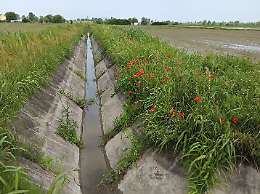 Polesine, al via il primo stralcio per modernizzare la rete idrica grazie a un finanziamento da oltre 5 milioni di euro