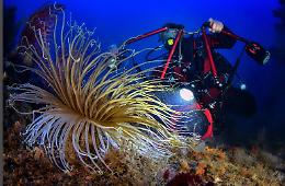 Inaugurazione della mostra di Francesco Turano al Club Sommozzatori Padova