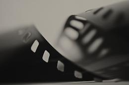 David di Donatello 2026: tre produzioni venete in lizza nelle categorie tecniche