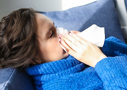 Influenza aviaria, parte la campagna vaccinale in Veneto: obiettivo protezione e prevenzione