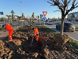 Saonara riqualifica il km delle rose: bellezza, florovivaismo e sostenibilit&agrave;