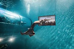 Montegrotto: a Carnevale tornano le sirene di Y-40 con uno spettacolo magico sott&rsquo;acqua