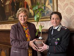 Belluno riceve l&rsquo;Albero di Falcone, simbolo di legalit&agrave; e memoria