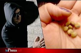 Pordenone, furto surreale: ladri rubano &ldquo;pepites d&rsquo;oro&rdquo; ma erano calcoli renali