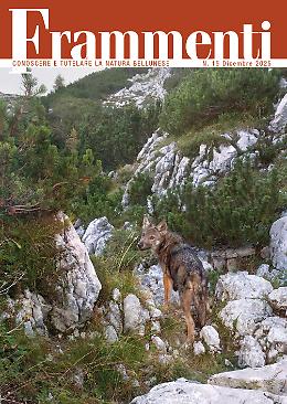 Presentato il Quindicesimo Numero di "Frammenti" al Museo Naturalistico delle Dolomiti Bellunesi