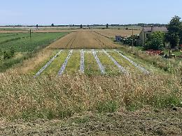 NU.VO.L&rsquo;A., un progetto che fa crescere il Delta del Po