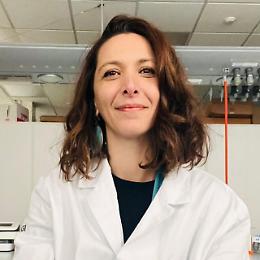 Organoidi neuromuscolari, nuovo modello per studiare la cachessia tumorale