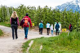 Trentino d'autore: gli appuntamenti da vivere nel prossimo periodo