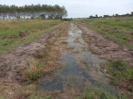 Consorzio Acque Risorgive, 28 interventi per ambiente e biodiversit&agrave;