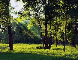 &ldquo;Sapori e paesaggi di Cerea&rdquo;: camminata tra natura, storia e tradizioni l&rsquo;8 marzo
