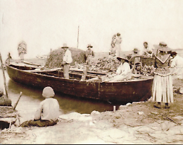 Presentato il n. 67 della "Rivista semestrale di studi e ricerche Chioggia&rdquo;