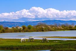 Padova, al Club Sommozzatori apre la mostra fotografica &ldquo;Orizzonti liquidi&rdquo;