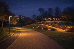 Castelfranco. Il centro Domenico Sartor rinnova gli spazi verdi con teatro all'aperto e giardino sensoriale