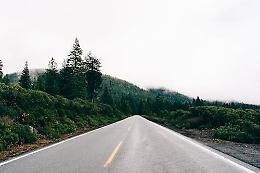 Incendio vicino all&rsquo;A22 a Trento: alta colonna di fumo visibile dalla tangenziale