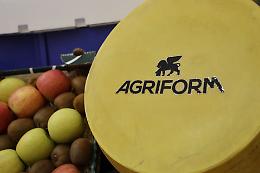 Agroalimentare veneto, Fedagripesca Confcooperative rilancia: 7 miliardi di fatturato e 237 cooperative