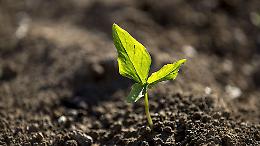 Padova, mattina ecologica alla Stanga: raccolti rifiuti in via Venezia e via della Croce Rossa