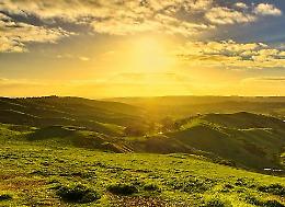 Giornata Regionale dei Colli Veneti: il Vicentino in festa tra natura, storia e tradizioni