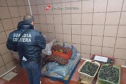 Etichette false e tracciabilit&agrave; mancante: la Guardia Costiera sequestra 26 tonnellate di pesce e commina 13 sanzioni per 40.000 euro