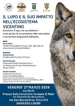 Il lupo e l&rsquo;ecosistema vicentino: incontro pubblico a Malo