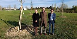 A Vicenza il &ldquo;bosco&rdquo; del Dedalo Minosse trova casa al Parco della Pace