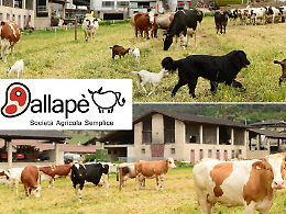 In mensa tra produttori e filiera corta: i bambini di Cognola scoprono il percorso del cibo dal campo alla tavola