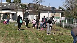 Vigonovo diventa pi&ugrave; verde: piantati 35 alberi nel giardino del comprensorio Leonardo da Vinci