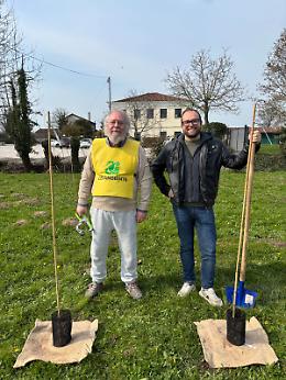 &ldquo;Alberi in Pianura&rdquo;, Noale investe sul verde: nasce un nuovo bosco urbano