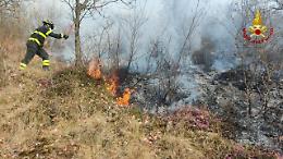 Incendio boschivo a San Zeno di Montagna: le fiamme minacciano una casa