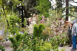 Al Giardino Parolini torna &ldquo;Di Rara Pianta&rdquo;: due giorni tra fiori rari, incontri e tradizioni a Bassano