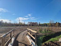 A Padova nasce il nuovo Parco Guizza: sette ettari di verde pubblico al confine con Albignasego