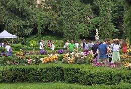 A Verona torna il Flower Show nel Giardino Giusti: due giorni dedicati a piante rare, artigianato e iniziative da pollice verde