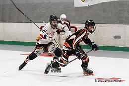 Vipers-Fox, al via la semifinale scudetto: l'analisi pre-partitia del presidente Fabio Forte