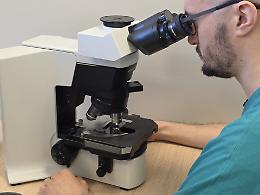 Ematologia di Treviso, superati i mille trapianti: un traguardo che parla di cura e solidariet&agrave;