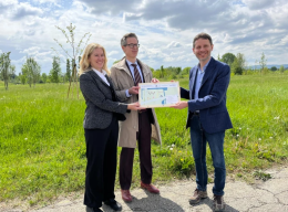 Vicenza, 23 nuovi alberi dal &ldquo;bosco temporaneo&rdquo; della Basilica Palladiana diventano patrimonio stabile del Parco della Pace
