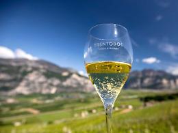 Export del vino in calo nel 2025, Coldiretti Trentino Alto Adige sollecita misure straordinarie per sostenere le imprese vitivinicole