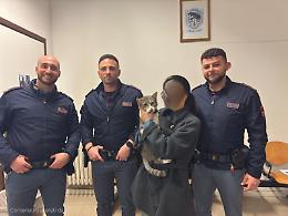 Mestre, rapiscono un gatto dall'auto in sosta: la Polizia lo salva e lo restituisce alla proprietaria