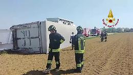 Incidente nella campagna vicentina: camion carico di bovini si ribalta a Mossano
