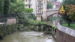 Vicenza: Vigili del Fuoco impegnati nella rimozione di tre alberi lungo il Retrone