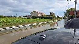 Maltempo nel Padovano, uomo percorre una via allagata in canoa 