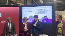 Ville venete e vino, un sistema da oltre 170 milioni che unisce tradizione, export e turismo