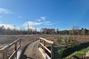A Padova nasce il nuovo Parco Guizza: sette ettari di verde pubblico al confine con Albignasego