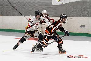 Vipers-Fox, al via la semifinale scudetto: l'analisi pre-partitia del presidente Fabio Forte