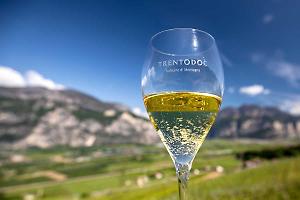 Export del vino in calo nel 2025, Coldiretti Trentino Alto Adige sollecita misure straordinarie per sostenere le imprese vitivinicole